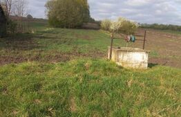 Teren intravilan 5500 mp - Gramesti (pret negociabil)