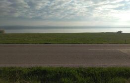 Teren intravilan 5500 mp - Gramesti (pret negociabil)