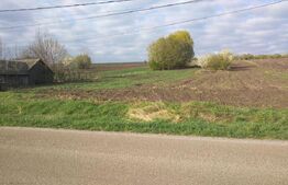 Teren intravilan 5500 mp - Gramesti (pret negociabil)