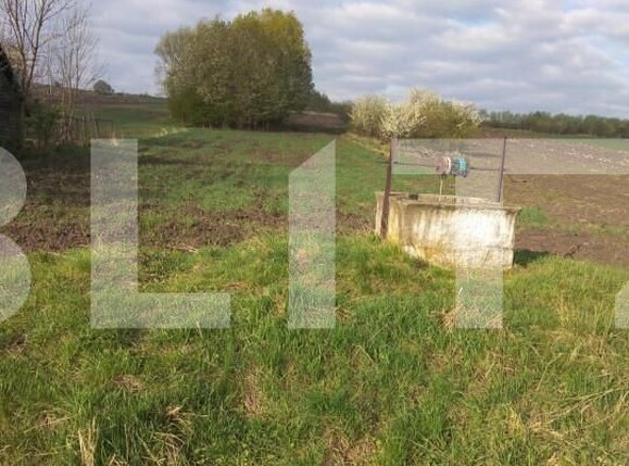 Teren de vânzare Gramesti - 151908TV | BLITZ Suceava | Poza2