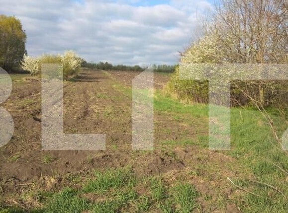 Teren de vânzare Gramesti - 151908TV | BLITZ Suceava | Poza3