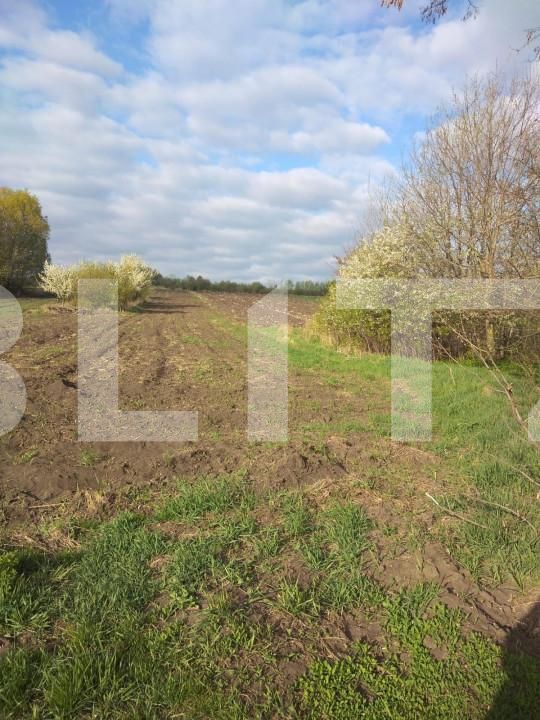 Teren de vânzare Gramesti - 151908TV | BLITZ Suceava | Poza3