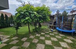 Oportunitate! Casa individuala zona centrala Radauti