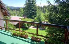 Ocazie , cabana, 300 mp utili, Poiana Stampei cu 6060 mp teren