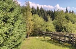 Cabana Poiana Stampei + 3 căsuțe A frame + 6060 mp teren intravilan + extravilan