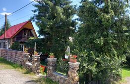 Ocazie , cabana, 300 mp utili, Poiana Stampei cu 6060 mp teren