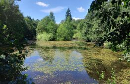 Cabana Poiana Stampei + 3 căsuțe A frame + 6060 mp teren intravilan + extravilan