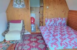 Cabana Poiana Stampei + 3 căsuțe A frame + 6060 mp teren intravilan + extravilan