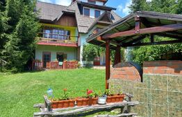 Ocazie unică de investiție, Poiana Stampei,  cabană, 6060 mp teren