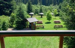 Cabana Poiana Stampei + 3 căsuțe A frame + 6060 mp teren intravilan + extravilan
