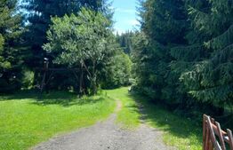 Ocazie , cabana, 300 mp utili, Poiana Stampei cu 6060 mp teren