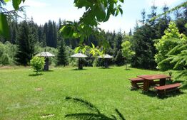 Cabana Poiana Stampei + 3 căsuțe A frame + 6060 mp teren intravilan + extravilan