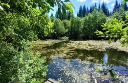 Ocazie , cabana, 300 mp utili, Poiana Stampei cu 6060 mp teren