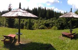 Cabana Poiana Stampei + 3 căsuțe A frame + 6060 mp teren intravilan + extravilan