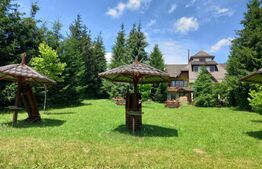 Ocazie unică de investiție, Poiana Stampei,  cabană, 6060 mp teren