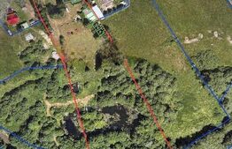 Ocazie , cabana, 300 mp utili, Poiana Stampei cu 6060 mp teren