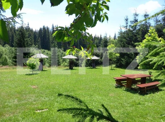 Casa de vânzare 8 camere Poiana Stampei - 151914CV | BLITZ Suceava | Poza6