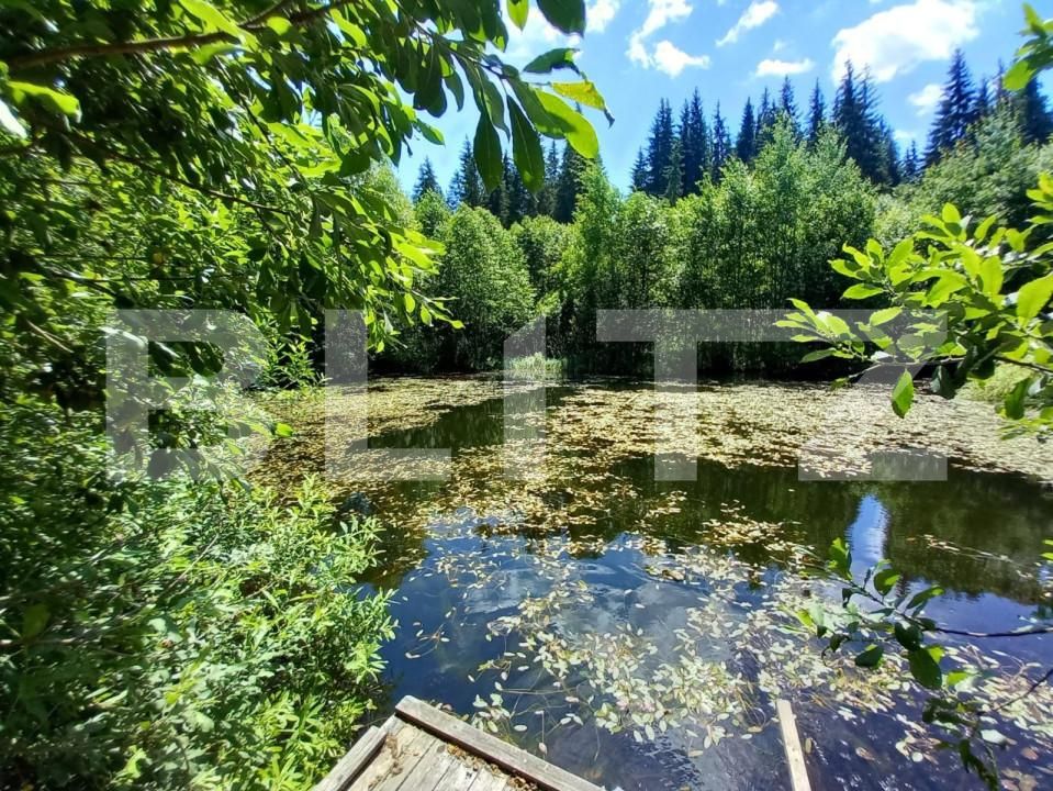 Casa de vânzare 8 camere Poiana Stampei - 151914CV | BLITZ Suceava | Poza11