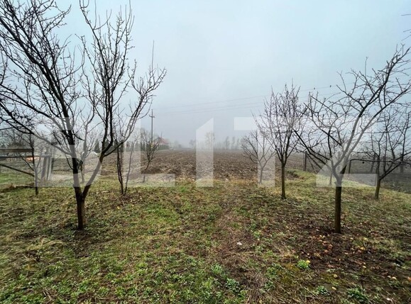 Casa de vânzare 4 camere Dornesti - 151933CV | BLITZ Suceava | Poza9