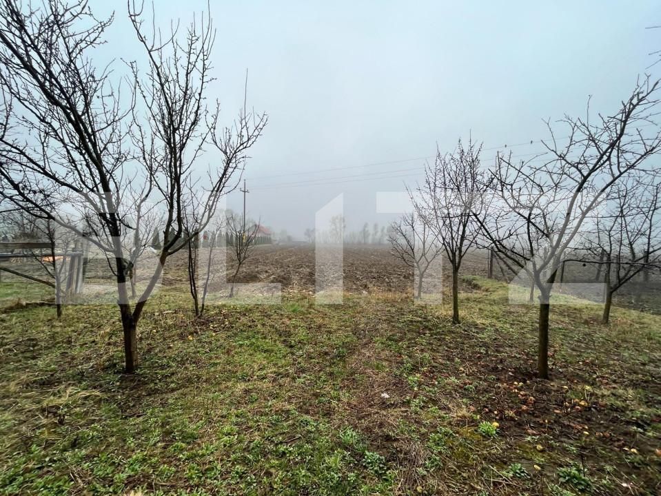 Casa de vânzare 4 camere Dornesti - 151933CV | BLITZ Suceava | Poza9