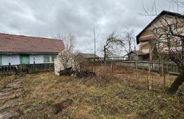 Casa batraneasca, 156mp, cartier Negostina, oras Siret