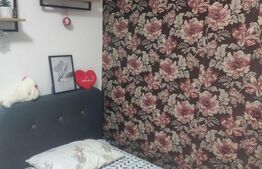 Casa tip Duplex, 156mp, Tisauti