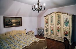 Casa individuala si hala, zona centrala, Radauti