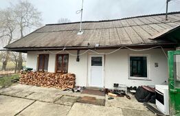 Casa individuala 2 camere, 600 mp- Radauti