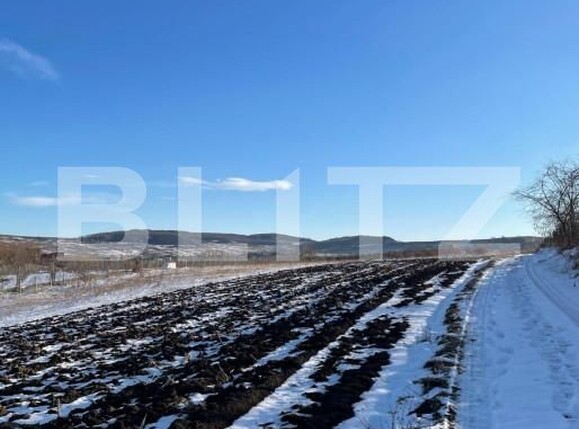 Teren de vânzare Falticeni - 151958TV | BLITZ Suceava | Poza1