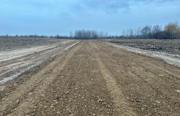 Teren de vânzare Exterior Nord - 156498TV | BLITZ Suceava | Poza4