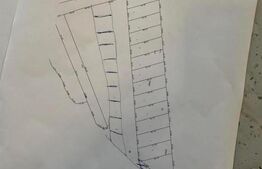 Teren intravilan, parcelabil, 15000mp, Marginea