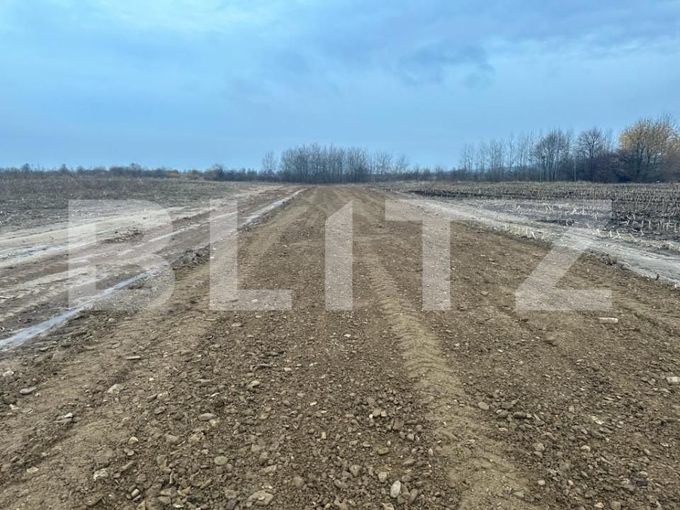 Teren de vânzare Marginea - 152020TV | BLITZ Suceava | Poza1