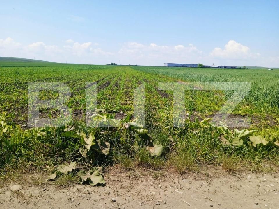 Teren de vânzare Scheia - 152034TV | BLITZ Suceava | Poza1