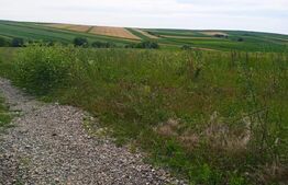 Teren intravilan de 1000 mp in Sf Ilie Nou cu urbanism