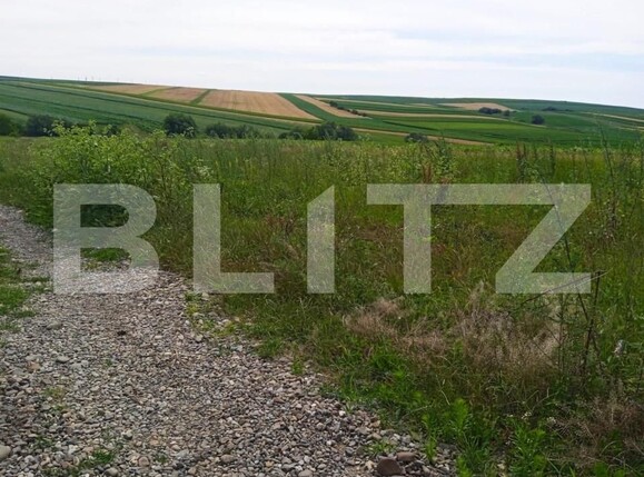 Teren de vânzare Sfantu Ilie - 152047TV | BLITZ Suceava | Poza2