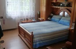 Casa individuala 100mp, Sf Ilie vechi, 700mp teren 