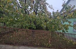 Casa batraneasca Meresti,3400mp teren