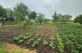 Casa Batraneasca, 5400 mp teren, zona Fratauti vechi, Radauti