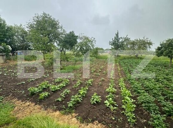 Casa de vânzare 4 camere Fratautii Vechi - 152106CV | BLITZ Suceava | Poza10