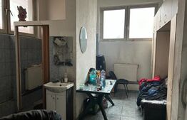 Service auto acces la E58 finisat, echipat complet, Scheia