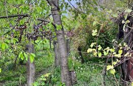 Casa individuala, zona centrala-E85,Siret