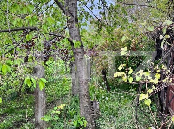 Casa de vânzare 2 camere Siret - 152155CV | BLITZ Suceava | Poza8