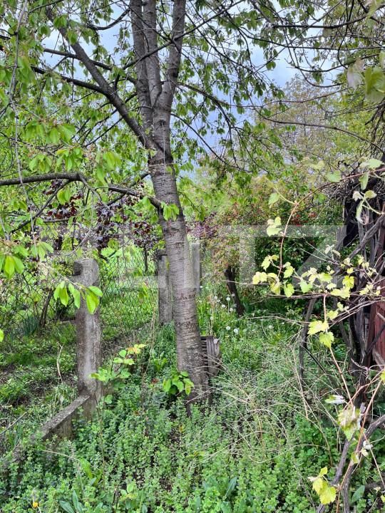 Casa de vânzare 2 camere Siret - 152155CV | BLITZ Suceava | Poza8