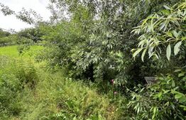 Oportunitate!!! Casa individuala, 1200 mp ,plus livada 1800mp, Orasul Siret