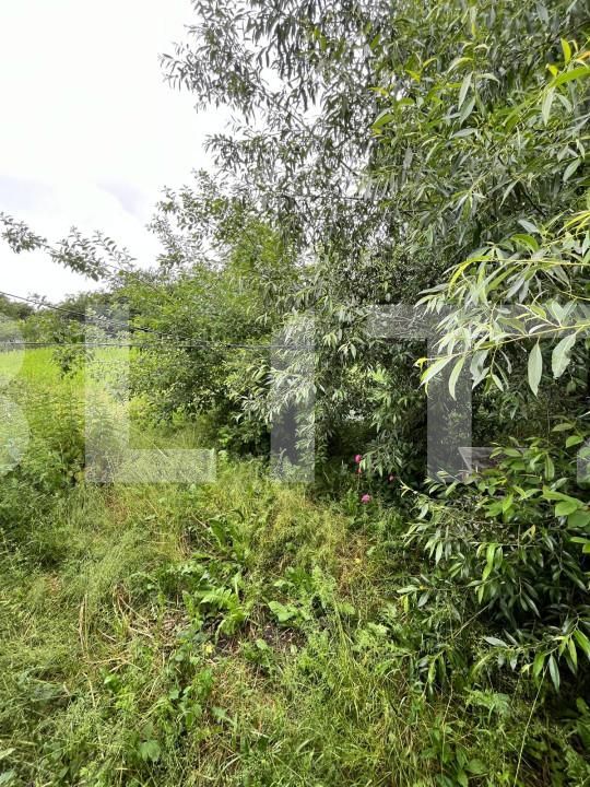 Casa de vânzare 2 camere Exterior Nord - 152158CV | BLITZ Suceava | Poza7