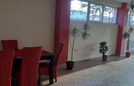 Oportunitate! Spatiu comercial cu destinatie catering, 80 mp, zona Ipotesti