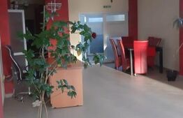 Oportunitate! Spatiu comercial cu destinatie catering, 80 mp, zona Ipotesti