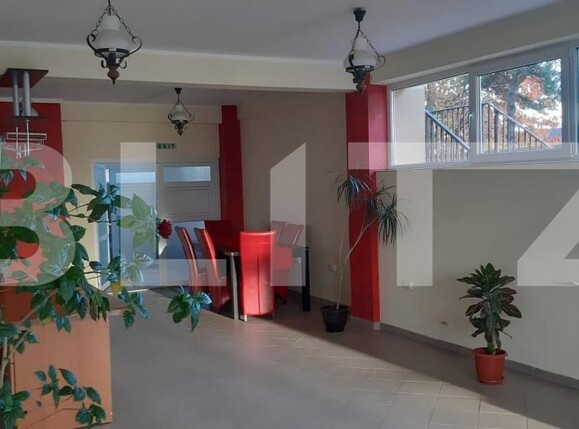 Spațiu comercial de închiriat Ipotesti - 152162SIC | BLITZ Suceava | Poza2