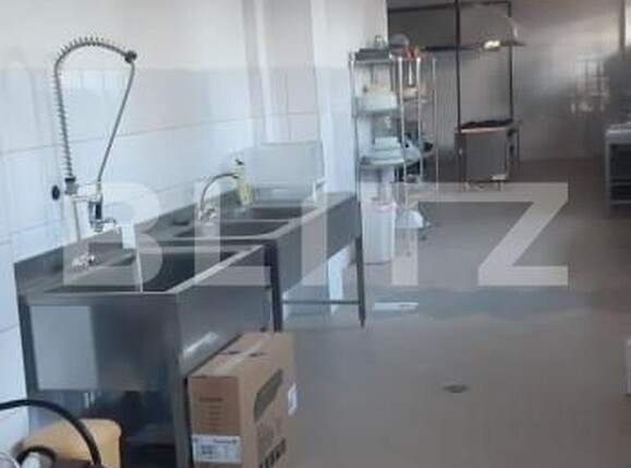 Spațiu comercial de închiriat Ipotesti - 152162SIC | BLITZ Suceava | Poza8