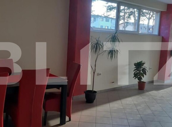 Spațiu comercial de închiriat Ipotesti - 152162SIC | BLITZ Suceava | Poza9
